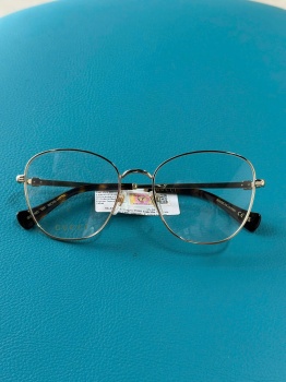 Gọng kính Gucci mã GG14180 (1)